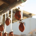 17f3909a55ff8ab4b2a73e671cfea70c_s